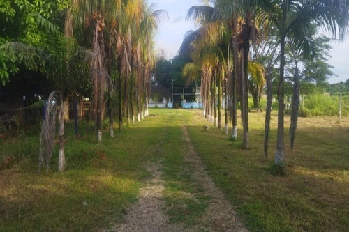 Imagen 15 de 20 de Mg Asein1358 Vende Hermosa Finca Sector El Oasis Vía El Encanto Tocuyito. Municipio Libertador. Estado Carabobo.