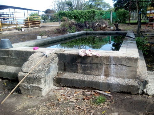 Imagen 9 de 27 de Se Vende Finca En Caicara De Maturin Sec Bajo Gde Ve02-1143cai-mtru
