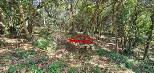 Imagem 3 de 4 de Terreno À Venda, 1162 M² Por R$ 600.000,00 - Granja Viana - Cotia/sp - Te0418