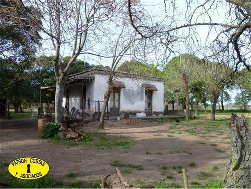 0976hp- 83 Ha (52 Ha + 31 Ha) - Open Door-manzanares