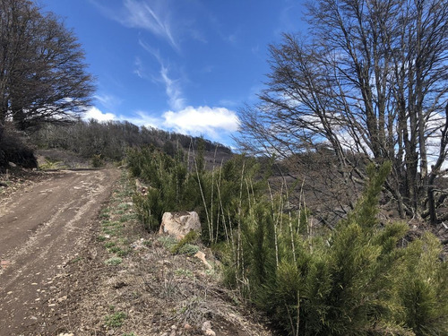 Imagen 15 de 17 de En Venta Terreno En Valle Escondido 4000 M2- San Martin De Los Andes