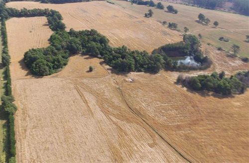 Imagen 2 de 15 de Agrícola En Venta En Ercilla