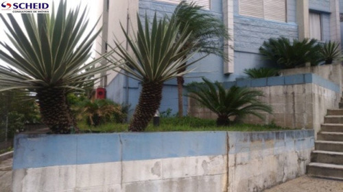 Imagem 2 de 15 de Apartamento Lindo E Transporte Na Porta - Mc4982