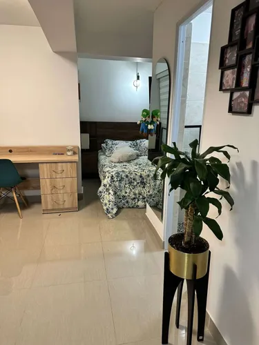Apartaestudio En Venta En Madera Nativa. Cod V12903