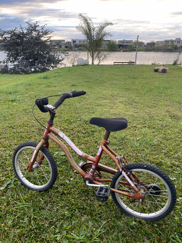 Bicicleta Niño Rodado 14