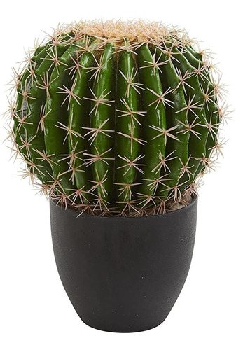 Cactus Casi Natural Plantas De Seda Artificial Verde Crea