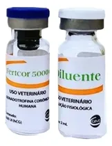Comprar Fertcor Hcg 5000ui - 1 Ampola Liofilizado E 1 Diluente