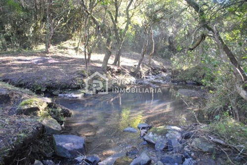 Imagen 6 de 30 de Venta Chacra 96has En Minas, Lavalleja