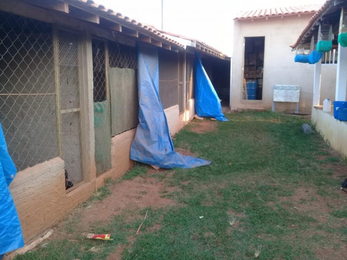 Maravilhosa Chácara A Venda No Bairro Cruz Do Cedro Em Quadra/sp - 1141