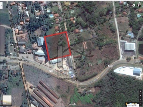 Imagem 6 de 6 de Cód 1833 - Terreno De 9.212 M² - 1833