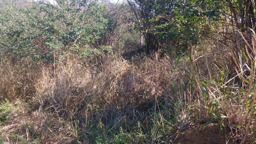 Imagem 2 de 2 de Terreno Em Campo Grande, Rio De Janeiro/rj De 480m² À Venda Por R$ 70.000,00 - Te194847-s