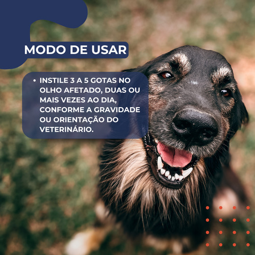 Kit 2 Colírio 15ml Cães Gatos Solução Oftalmológica Ucb Vet