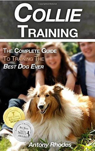 Rough Collie Training The Complete Guide To Training The Bes