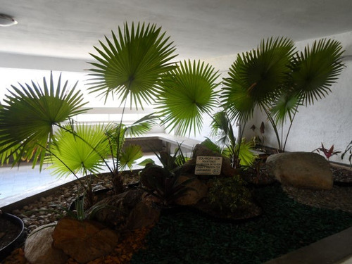 Apartamento En Venta Baruta. Los Alpes Yr2514884