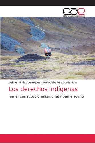 Libro: Los Derechos Indígenas: Constitucionalismo Lati