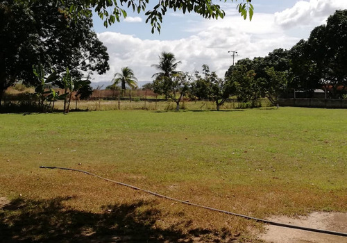 Imagen 7 de 10 de Jm Asein P1886 Vende Linda Finca En El Sector La Sabana Via Tocuyito Valencia.