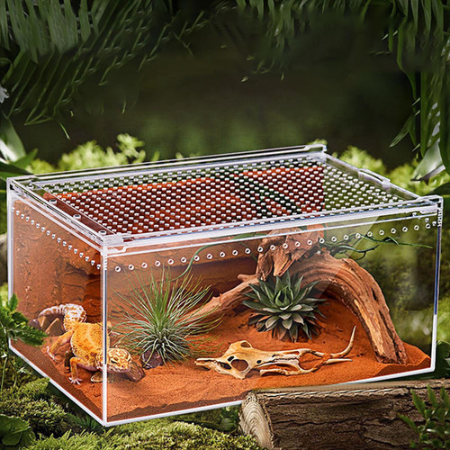 Terrario Para Reptiles Caja De Alimentación Para Reptiles
