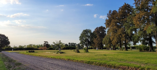 Imagen 3 de 11 de Terreno Lote En Venta En Alejandro Petion Cañuelas - Financiación - Oportunidad