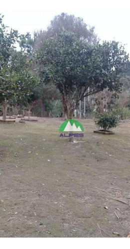 Imagem 12 de 24 de Chácara À Venda, 3860 M² Por R$ 185.000,00 - Vilarejo Taboão - Agudos Do Sul/pr - Ch0024