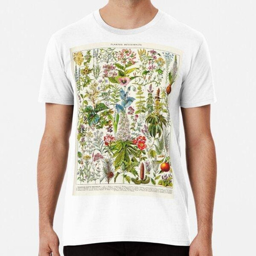 Remera Adolphe Millot - Plantes Medicinales 01 - Ilustración