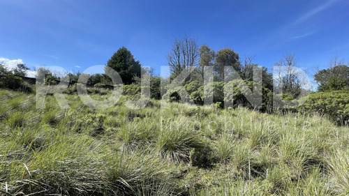 Imagen 8 de 27 de Terreno En Venta Salazar, Estado De México