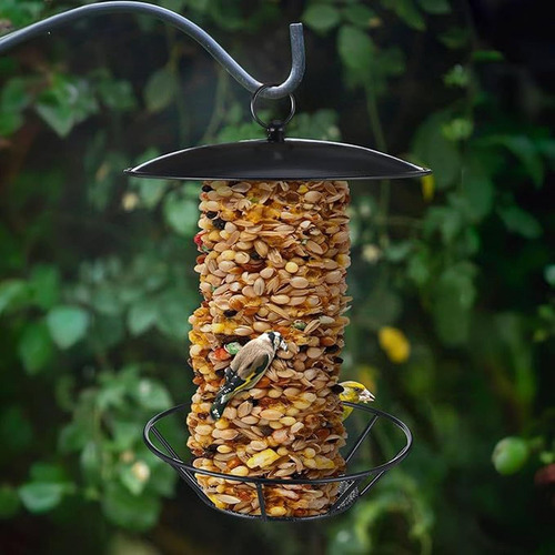 Alimentador De Aves Colgantes Dispensador De Alimentos Para