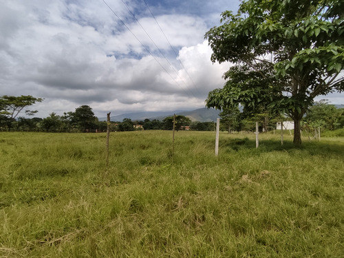 Venta De Finca En Aguirre, Montalbán - 1631 Inmobiliaria Maggi.