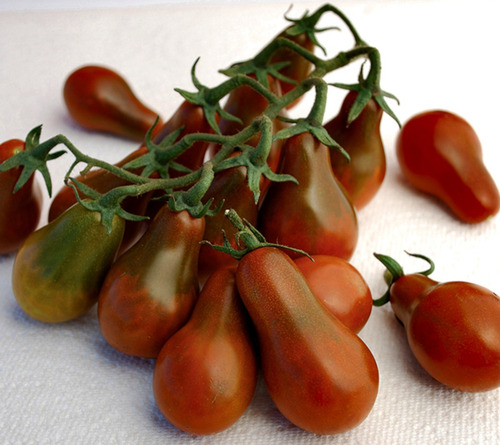 Sementes De Tomate Chocolate Pear - Pera Chocolate Cherry