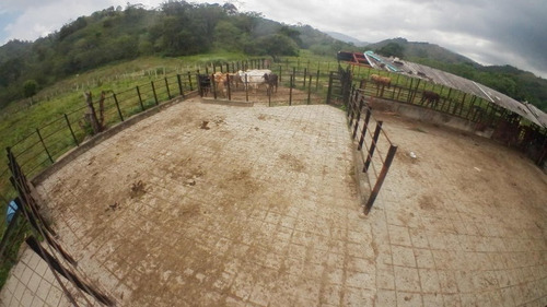 Imagen 30 de 30 de Finca En Venta San Felipe 1500 Ha, #23-14481