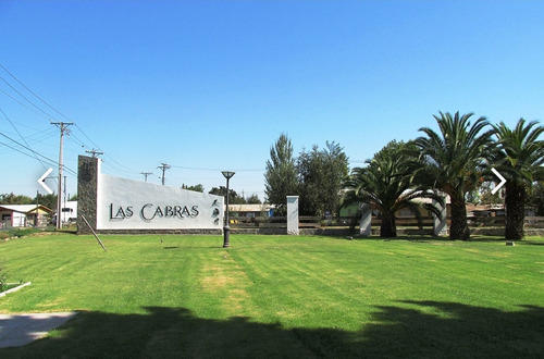 Parcela 5250m2 Rol Propio Las Cabras