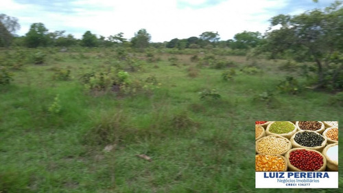 Fazenda Á Venda Em Recursolândia - Tocantins - (dupla Aptidão) - 1585