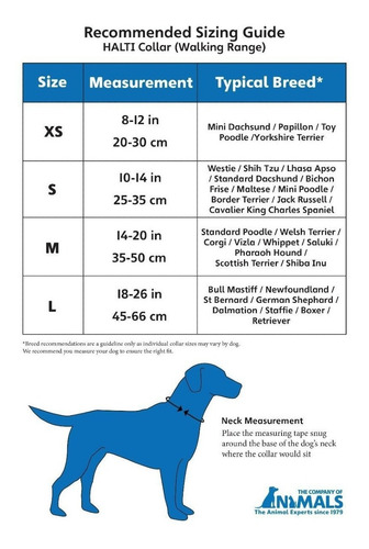 Imagen 5 de 7 de Collar Halti Comfort Medium Perro Mediano