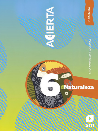 Integrado 6. Acierta / Primaria, De Ediciones Sm., Vol. 1. Editorial Ediciones Sm Infantil, Tapa Blanda, Edición 1.0 En Español, 2024