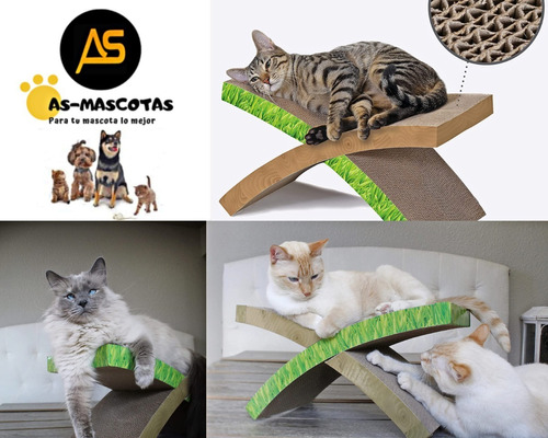 Rascador Gimnasio Para Gato Hamaca Petstages