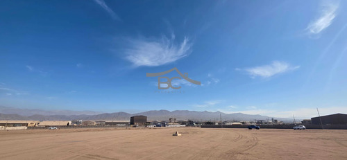 Se Arrienda Terreno En La Negra, 7.500 M². (175240)