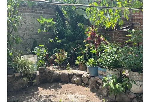 Casa Carmelo