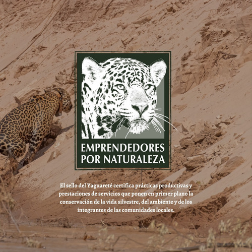 Imagen 6 de 7 de Tapiz Grande Hoco Colorado - 115 Cm X 40 Cm