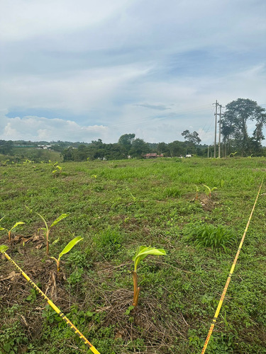 Venta Lote Quimbaya Via Filandia 