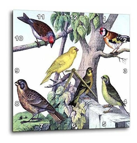 Reloj De Pared Con Impresión De 6 Aves En Árbol, 10 Pulgadas