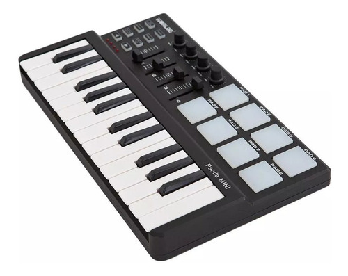 Teclado Controlador Midi Worlde Panda Drum Pad Y Midi