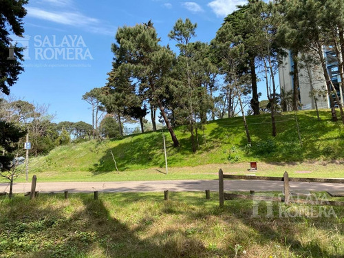 Imagen 10 de 11 de Terreno - Punta Del Este