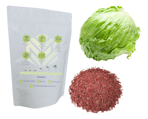 Semillas Lechuga Bola Para Cultivo 2 Kg