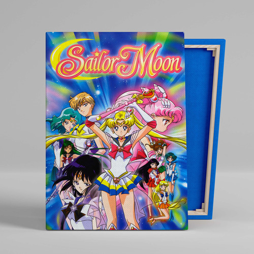 Cuadro Sailor Moon Anime Canvas Con Bastidor 60x40 Cm