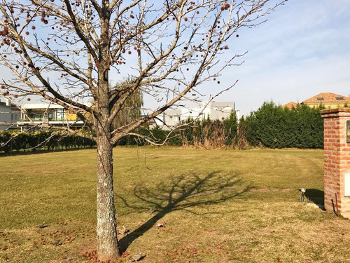 Imagen 3 de 14 de Lote Venta La Lomada De Pilar