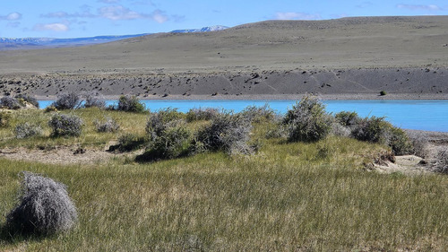 Campo En Santa Cruz