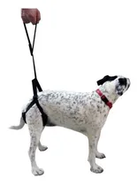 Comprar Arnes Perros Ayuda Ortopedia Displacia Cadera Rehabilitacion