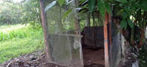 Imagem 11 de 25 de Chácara Com 50.000 M² De Área Total E Com Horta, Lago, Riacho, Pomar E Cozinha Caipira, No Bairro Gaivota, Em Itanhaém Ref: 9242/ac
