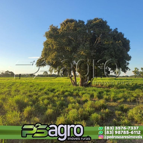 Imagem 11 de 15 de Fazenda À Venda, 150000000 M² Por R$ 300.000.000 - Centro - Mato Grosso Do Sul - Fa0249