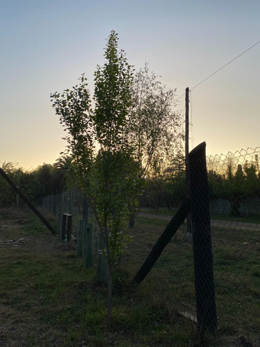 Venta De Lote