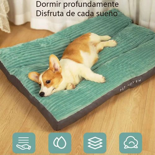 Cama Colchon Ortopedico Premium Extra Grande Perro 100 Libra
